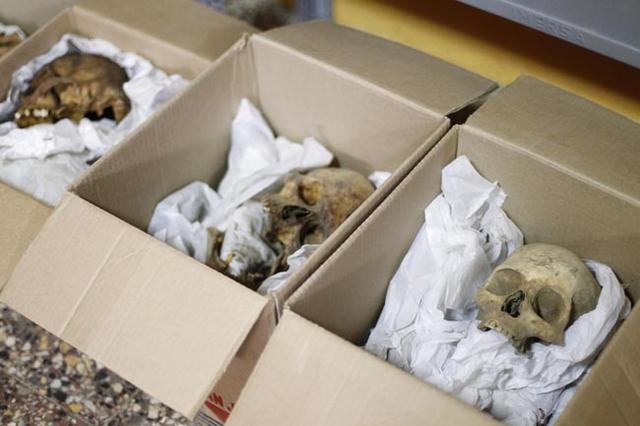 Skulls are placed in boxes after being discovered at a pyramid site called El Castillo de Huarmey