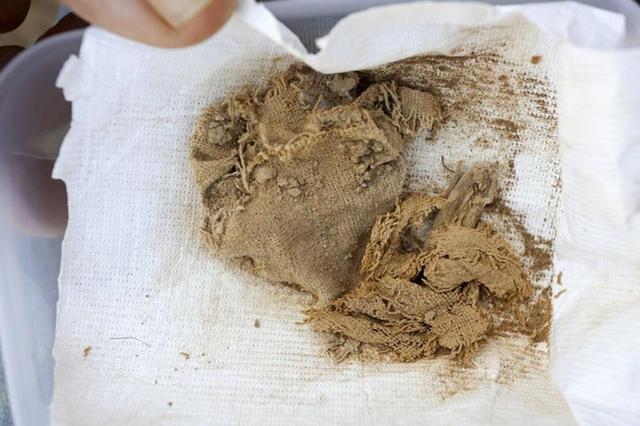 Hebrew University archeologists find 12th Dead Sea scrolls cave