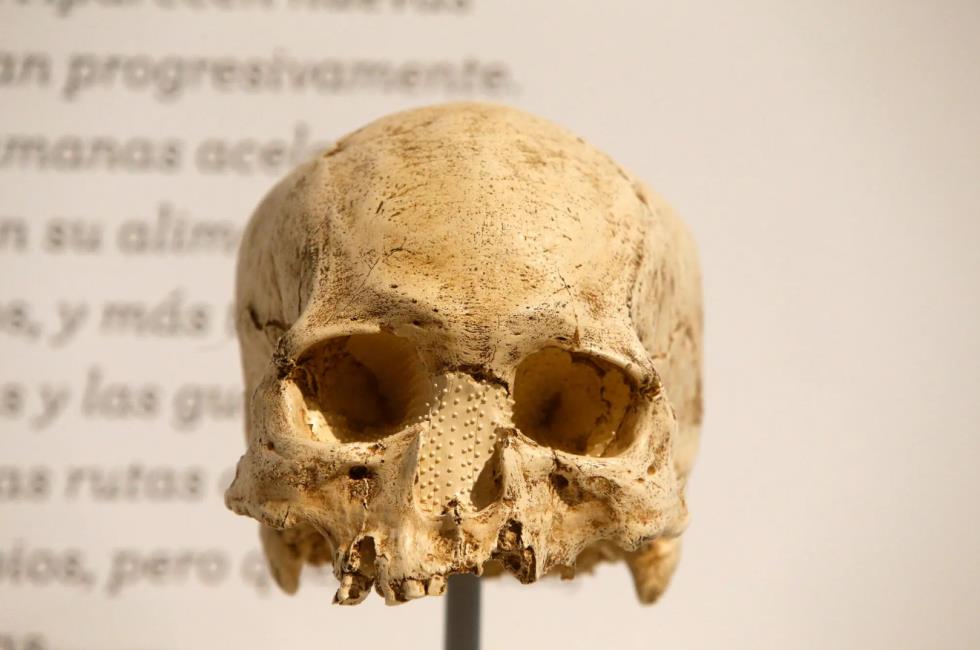 4390503906861305 A-Paris-Museum-Has-18-000-Skulls-It’s-Reluctant-to-Say-Whose-The-New-York-Times (2)