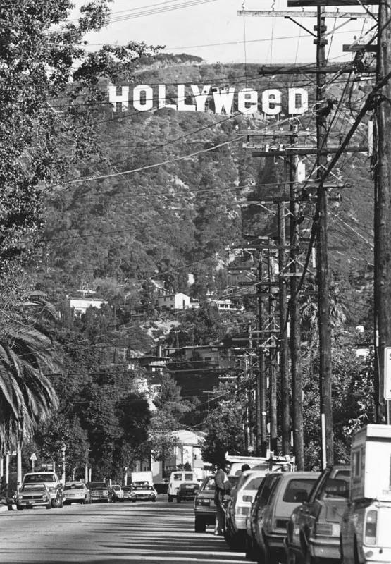 Η πινακίδα άλλαξε και έγραφε «Hollyweed», 1983